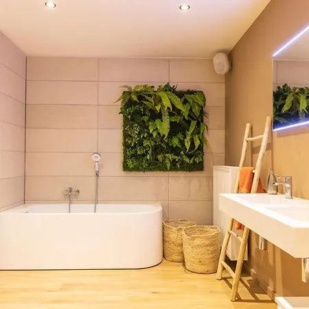 La Grenouille - De Luxe&welness Privatif Leuze-en-Hainaut