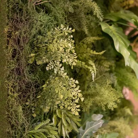 La Grenouille - De Luxe & Welness Privatif 러브호텔 Leuze-en-Hainaut